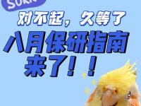 开云体育入口-中国战队全力备战，决胜关键阶段的简单介绍