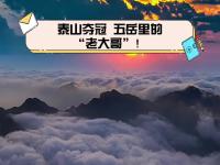 开云体育在线官网-泰山主场告捷，一鼓作气赢球士气高涨