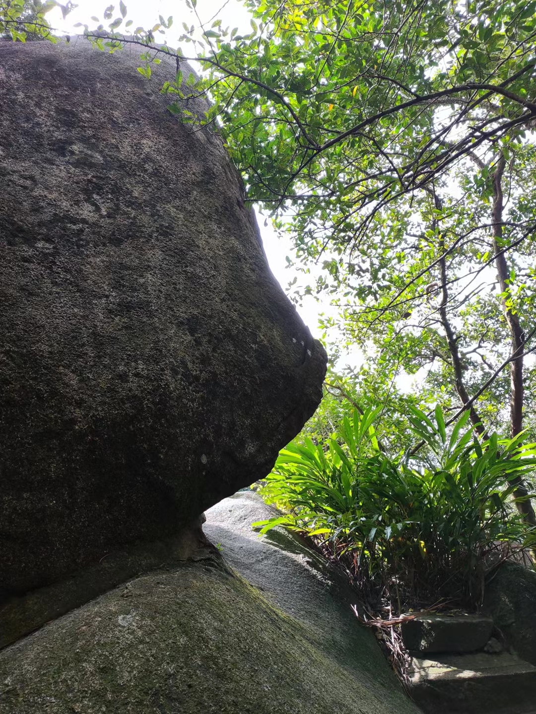 包含壮烈角逐，风云激荡，乐在其中！的词条