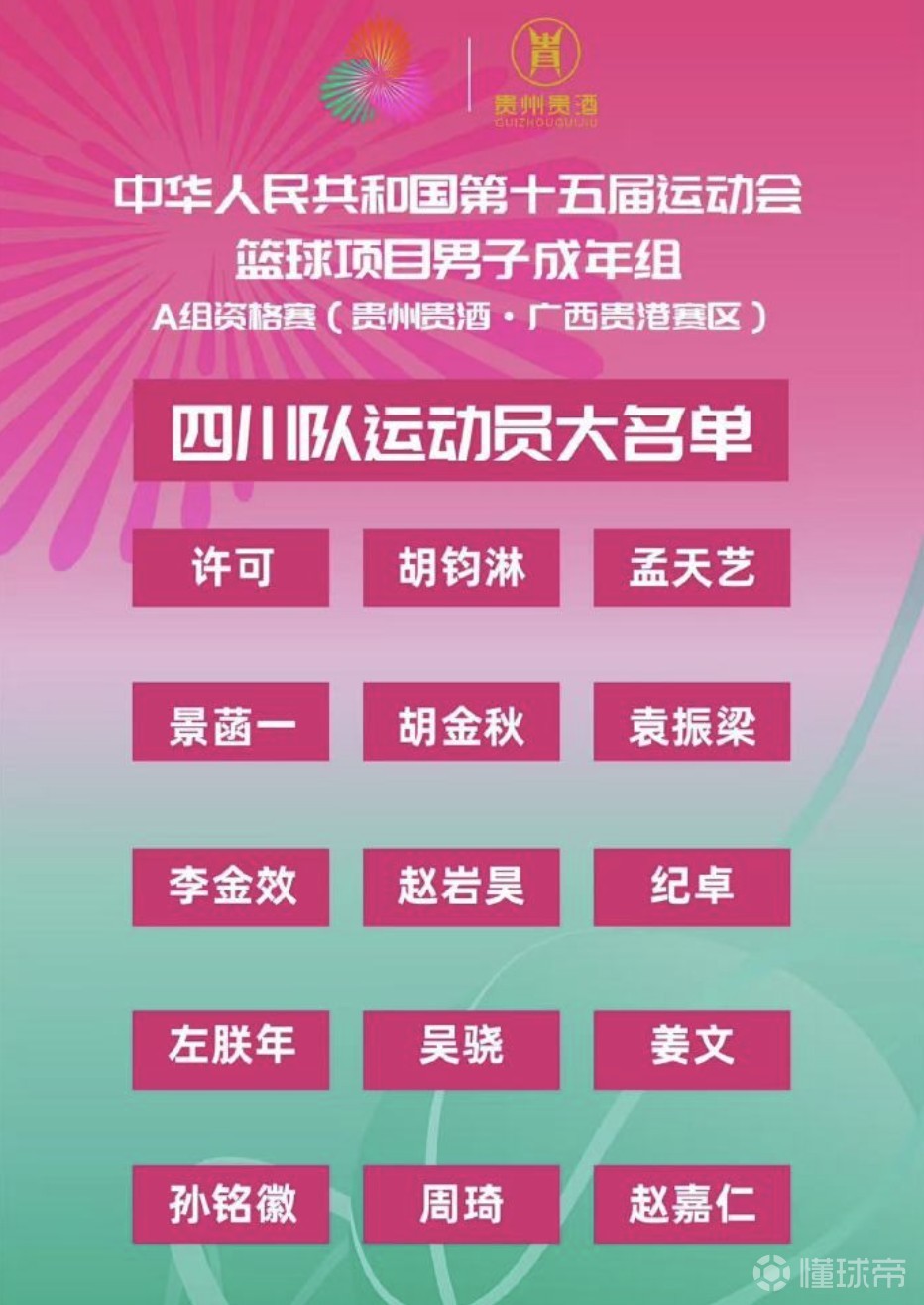 四川队实力强大，一败不馁的简单介绍
